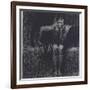 Lucifer-Franz von Stuck-Framed Giclee Print