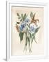Gramercy White