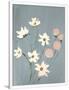 Gramercy White