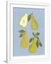 Gramercy White