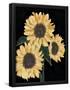 Essential Black