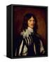 Lucius Cary, 2nd Viscount Falkland-Sir Anthony Van Dyck-Framed Stretched Canvas