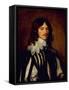 Lucius Cary, 2nd Viscount Falkland-Sir Anthony Van Dyck-Framed Stretched Canvas