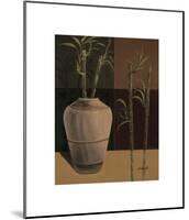 Lucky Bamboo II-Emmanuel Cometa-Mounted Giclee Print