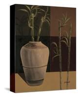 Lucky Bamboo II-Emmanuel Cometa-Stretched Canvas