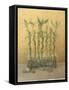 Lucky Bamboo-Danhui Nai-Framed Stretched Canvas