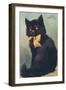 Lucky Black Cat with Bow-null-Framed Art Print