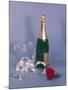 'Lucky' Bubbly-null-Mounted Photographic Print