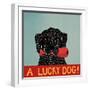 Lucky  Dog Black Backup-Stephen Huneck-Framed Giclee Print