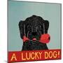 Lucky  Dog Black Backup-Stephen Huneck-Mounted Giclee Print
