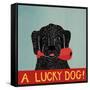 Lucky  Dog Black Backup-Stephen Huneck-Framed Stretched Canvas