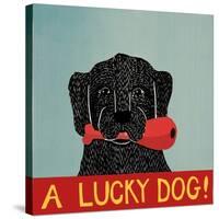 Lucky  Dog Black Backup-Stephen Huneck-Stretched Canvas