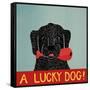 Lucky  Dog Black Backup-Stephen Huneck-Framed Stretched Canvas