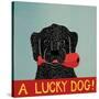 Lucky  Dog Black Backup-Stephen Huneck-Stretched Canvas