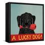 Lucky  Dog Black Backup-Stephen Huneck-Framed Stretched Canvas