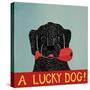 Lucky  Dog Black Backup-Stephen Huneck-Stretched Canvas