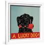 Lucky  Dog Black Backup-Stephen Huneck-Framed Giclee Print