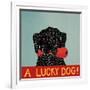 Lucky  Dog Black Backup-Stephen Huneck-Framed Giclee Print