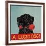 Lucky  Dog Black Backup-Stephen Huneck-Framed Giclee Print