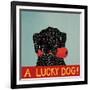 Lucky  Dog Black Backup-Stephen Huneck-Framed Giclee Print