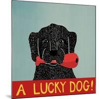 Lucky  Dog Black Backup-Stephen Huneck-Mounted Giclee Print