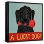 Lucky  Dog Black-Stephen Huneck-Framed Stretched Canvas