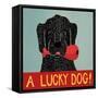 Lucky  Dog Black-Stephen Huneck-Framed Stretched Canvas