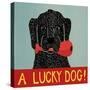 Lucky  Dog Black-Stephen Huneck-Stretched Canvas
