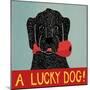 Lucky  Dog Black-Stephen Huneck-Mounted Giclee Print