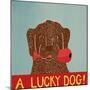 Lucky  Dog Choc Bak-Stephen Huneck-Mounted Giclee Print