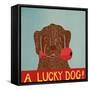 Lucky  Dog Choc Bak-Stephen Huneck-Framed Stretched Canvas