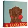 Lucky  Dog Choc Bak-Stephen Huneck-Stretched Canvas