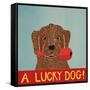 Lucky  Dog Choc-Stephen Huneck-Framed Stretched Canvas