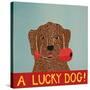 Lucky  Dog Choc-Stephen Huneck-Stretched Canvas