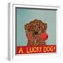 Lucky  Dog Choc-Stephen Huneck-Framed Giclee Print