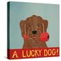 Lucky  Dog Choc-Stephen Huneck-Stretched Canvas