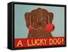 Lucky  Dog Choc-Stephen Huneck-Framed Stretched Canvas