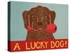 Lucky  Dog Choc-Stephen Huneck-Stretched Canvas