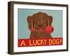 Lucky  Dog Choc-Stephen Huneck-Framed Giclee Print
