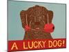 Lucky  Dog Choc-Stephen Huneck-Mounted Giclee Print