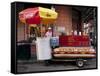 Lucky Dog Hot Dog Stand-Carol Highsmith-Framed Stretched Canvas