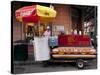 Lucky Dog Hot Dog Stand-Carol Highsmith-Stretched Canvas