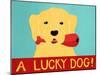 Lucky  Dog-Stephen Huneck-Mounted Giclee Print