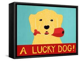 Lucky  Dog-Stephen Huneck-Framed Stretched Canvas