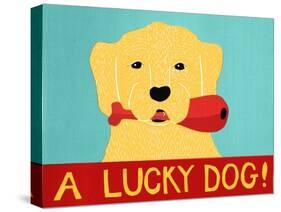 Lucky  Dog-Stephen Huneck-Stretched Canvas