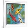 Lucky Koi I-Tandi Venter-Framed Giclee Print