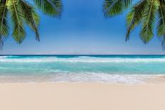 The Leaves of Palm Trees on Sunny Tropical Beach. Summer Vacation and Tropical Beach Background Con-Lucky-photographer-Photographic Print