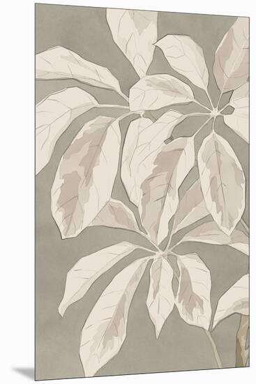 Lucky Plant - Focus I-Kristine Hegre-Mounted Giclee Print