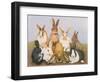 Lucky Rabbits-Pat Scott-Framed Giclee Print