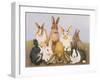 Lucky Rabbits-Pat Scott-Framed Giclee Print